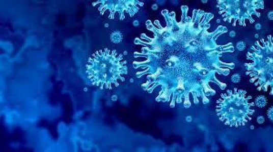 На Кіровоградщині лабораторно підтверджено британський варіант коронавірусу